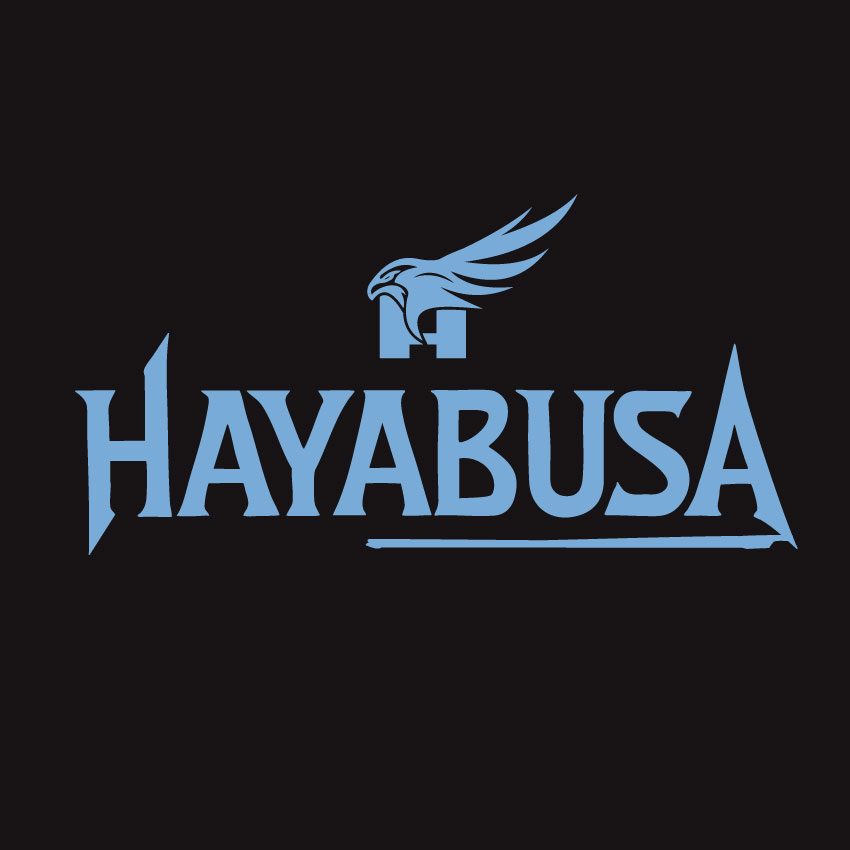 HAYABUSA <br>～ HAYATO Birthday LIVE