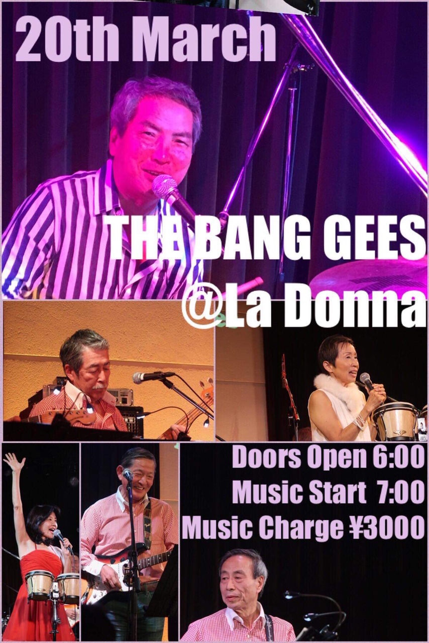 The Bang Gees Live